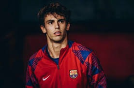 解析小葛雷诺如何平衡打击力量与挥棒速度在现代棒球中的进化