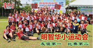 雷诺兹赛季数据回顾